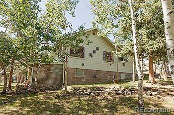 264 Aspen Ln, Bailey, CO 80421 photo 15