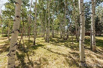 264 Aspen Ln, Bailey, CO 80421 photo 2