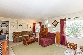 264 Aspen Ln, Bailey, CO 80421 photo 6