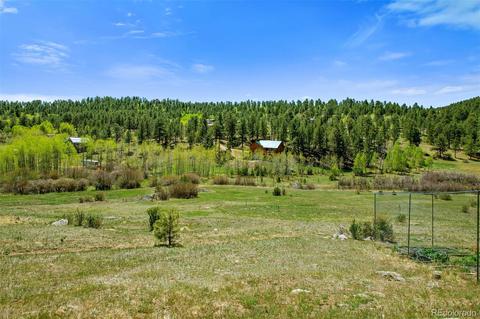718 Bluebird Dr, Bailey, CO 80421 photo 33