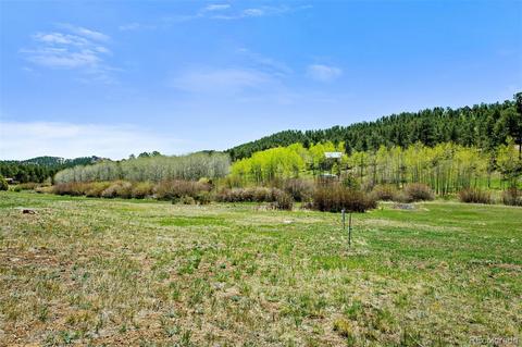 718 Bluebird Dr, Bailey, CO 80421 photo 35