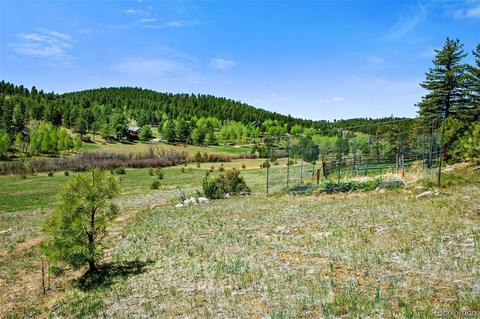 718 Bluebird Dr, Bailey, CO 80421 photo 34