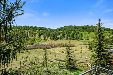 718 Bluebird Dr, Bailey, CO 80421 photo 11