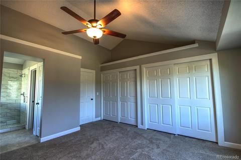 8762 Apache Plume Dr, Parker, CO 80134 photo 12