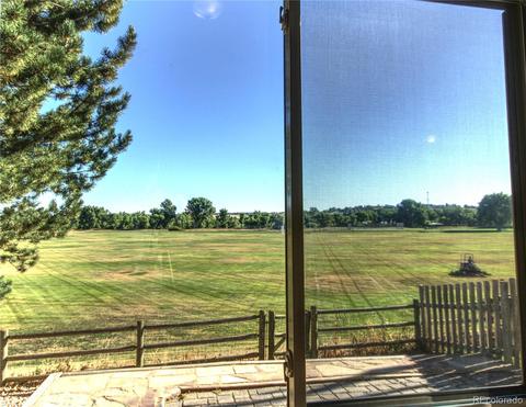 8762 Apache Plume Dr, Parker, CO 80134 photo 9