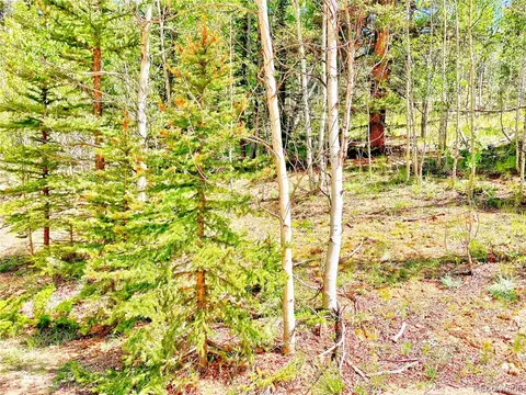 224 Apache Trl, Como, CO 80456 photo 3