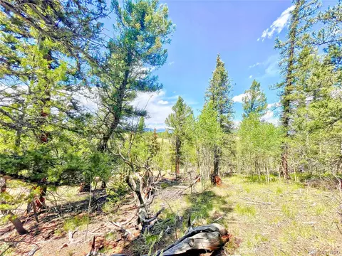 224 Apache Trl, Como, CO 80456 photo 16