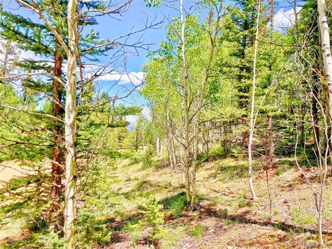 224 Apache Trl, Como, CO 80456 photo 2