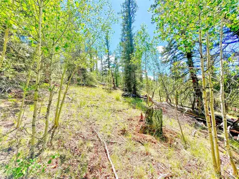 224 Apache Trl, Como, CO 80456 photo 14