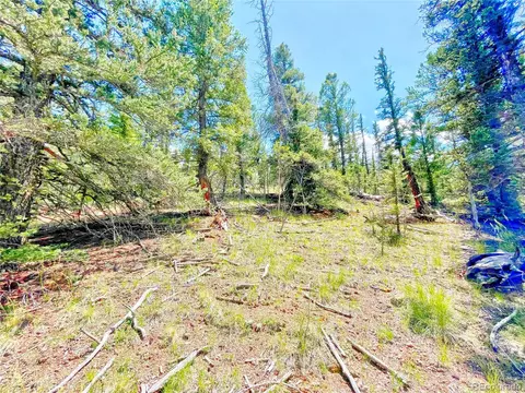 224 Apache Trl, Como, CO 80456 photo 15