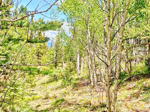 224 Apache Trl, Como, CO 80456 photo 7
