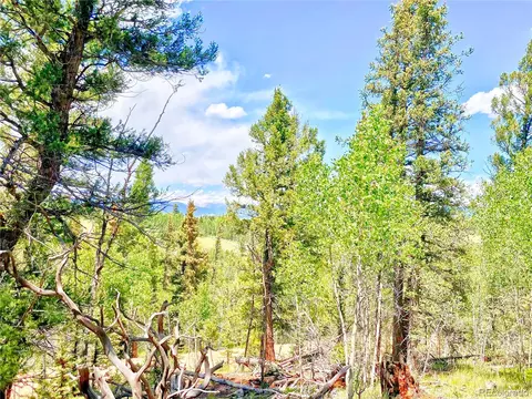 224 Apache Trl, Como, CO 80456 photo 17