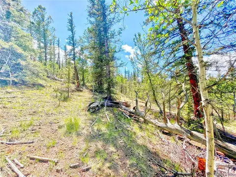 224 Apache Trl, Como, CO 80456 photo 6