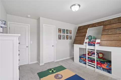 Bedroom - 28401 E 7th Pl, Watkins, CO 80137 photo 7 of 9