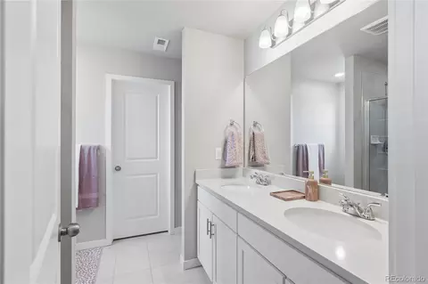 Other - 28401 E 7th Pl, Watkins, CO 80137 photo 6 of 12