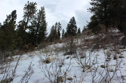 00 Two Brothers Rd, Idaho Springs, CO 80425