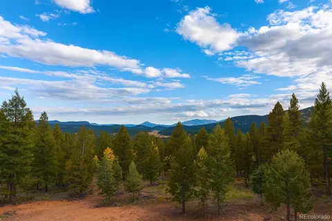 700 Old Sawmill Rd, Bailey, CO 80421 photo 16