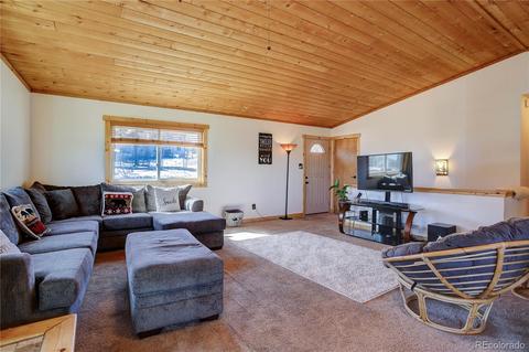 27 Pinon Rd, Bailey, CO 80421 photo 6