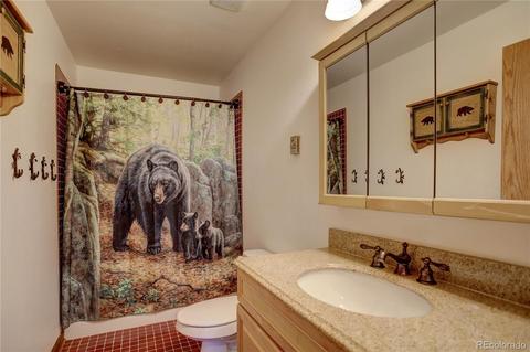 27 Pinon Rd, Bailey, CO 80421 photo 31