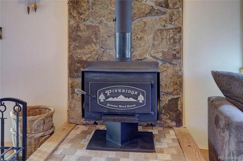 27 Pinon Rd, Bailey, CO 80421 photo 14