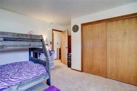 27 Pinon Rd, Bailey, CO 80421 photo 22