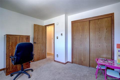 27 Pinon Rd, Bailey, CO 80421 photo 23