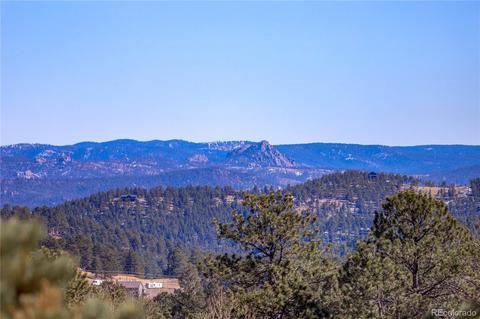 27 Pinon Rd, Bailey, CO 80421 photo 3