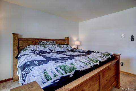 27 Pinon Rd, Bailey, CO 80421 photo 37