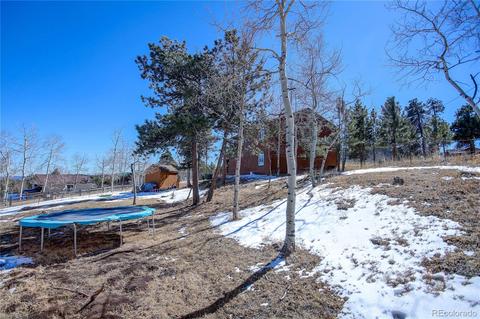 27 Pinon Rd, Bailey, CO 80421 photo 30