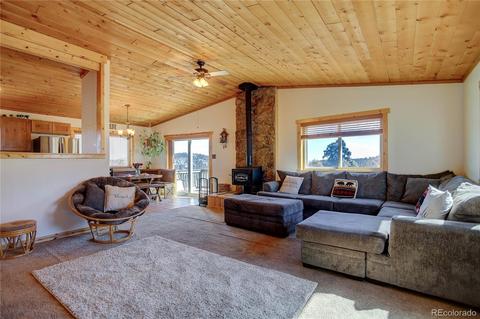 27 Pinon Rd, Bailey, CO 80421 photo 4