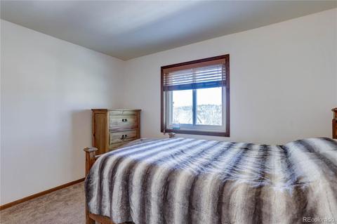 27 Pinon Rd, Bailey, CO 80421 photo 24