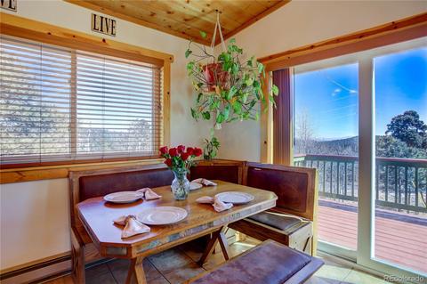 27 Pinon Rd, Bailey, CO 80421 photo 12