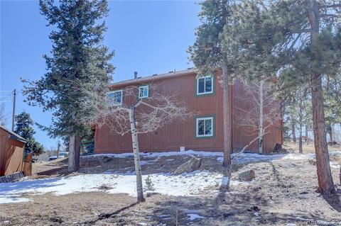27 Pinon Rd, Bailey, CO 80421 photo 34
