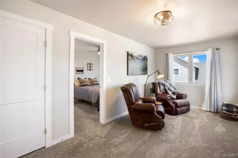 407 Meadow Park Dr, Divide, CO 80814 photo 27