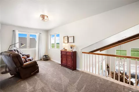 407 Meadow Park Dr, Divide, CO 80814 photo 26