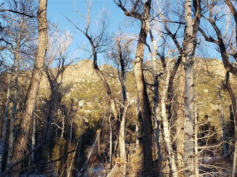 104 Wolf Creek Loop, Mosca, CO 81146 photo 2