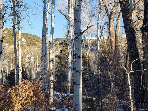 104 Wolf Creek Loop, Mosca, CO 81146 photo 5