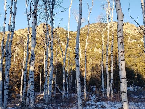 104 Wolf Creek Loop, Mosca, CO 81146 photo 4