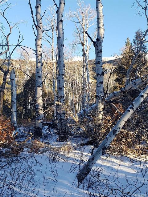 104 Wolf Creek Loop, Mosca, CO 81146 photo 6
