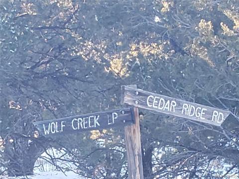 104 Wolf Creek Loop, Mosca, CO 81146 photo 7