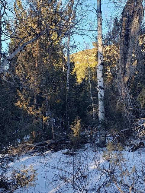 104 Wolf Creek Loop, Mosca, CO 81146 photo 3