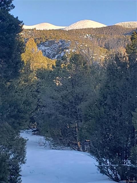 104 Wolf Creek Loop, Mosca, CO 81146 photo 1