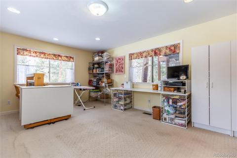 281 Yew Ln, Bailey, CO 80421 photo 19