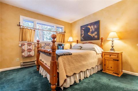 281 Yew Ln, Bailey, CO 80421 photo 15