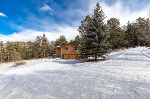 281 Yew Ln, Bailey, CO 80421 photo 33