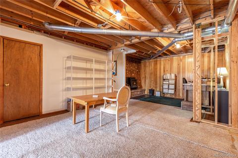 281 Yew Ln, Bailey, CO 80421 photo 23