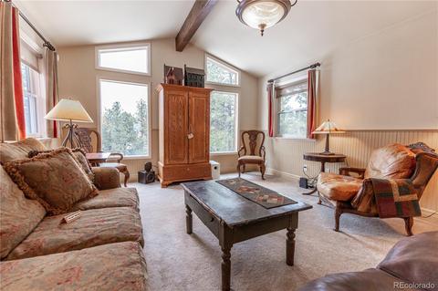 281 Yew Ln, Bailey, CO 80421 photo 3