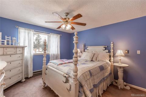 281 Yew Ln, Bailey, CO 80421 photo 16