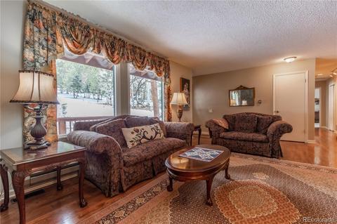 281 Yew Ln, Bailey, CO 80421 photo 5