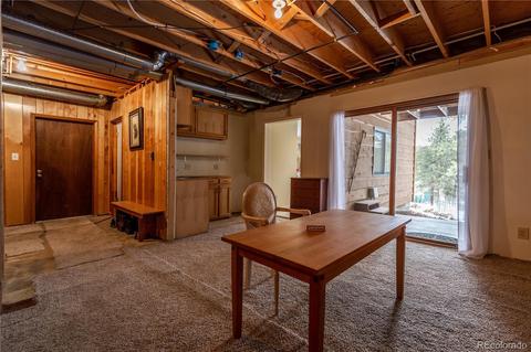 281 Yew Ln, Bailey, CO 80421 photo 25